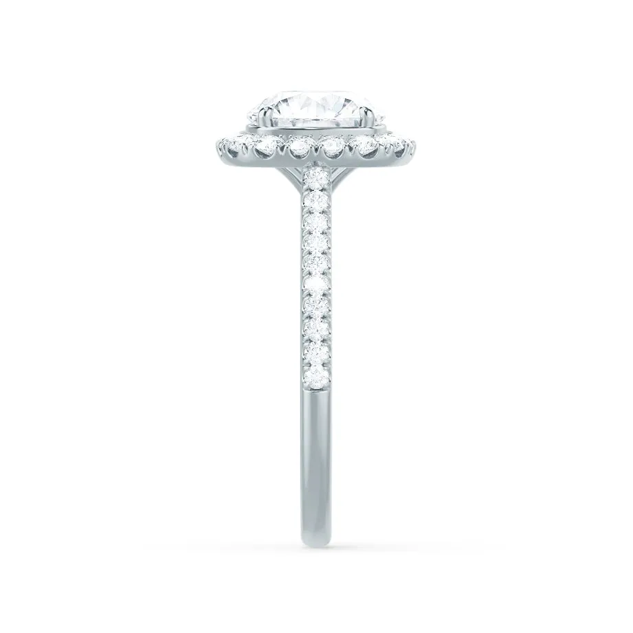 BLUSH - Round Lab Diamond 950 Platinum Petite Halo Ring