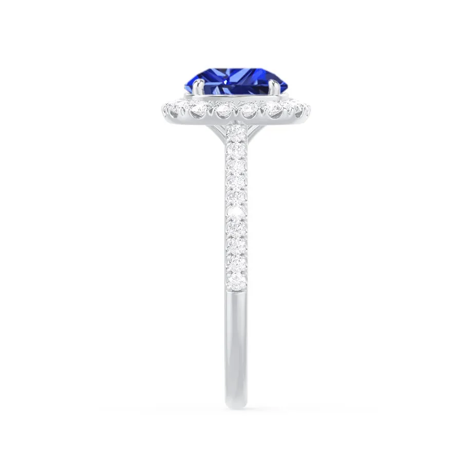 DARLEY - Chatham® Blue Sapphire Elongated Cushion Micro Pavé 18k White Gold Halo