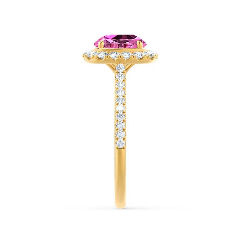 DARLEY - Chatham® Pink Sapphire Elongated Cushion Micro Pavé 18k Yellow Gold Halo