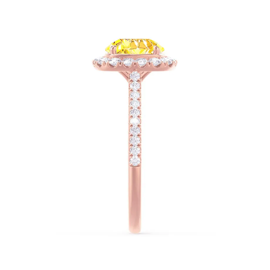 DARLEY - Chatham® Yellow Sapphire Elongated Cushion Micro Pavé 18k Rose Gold Halo