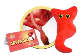 Giant Microbes Appendix