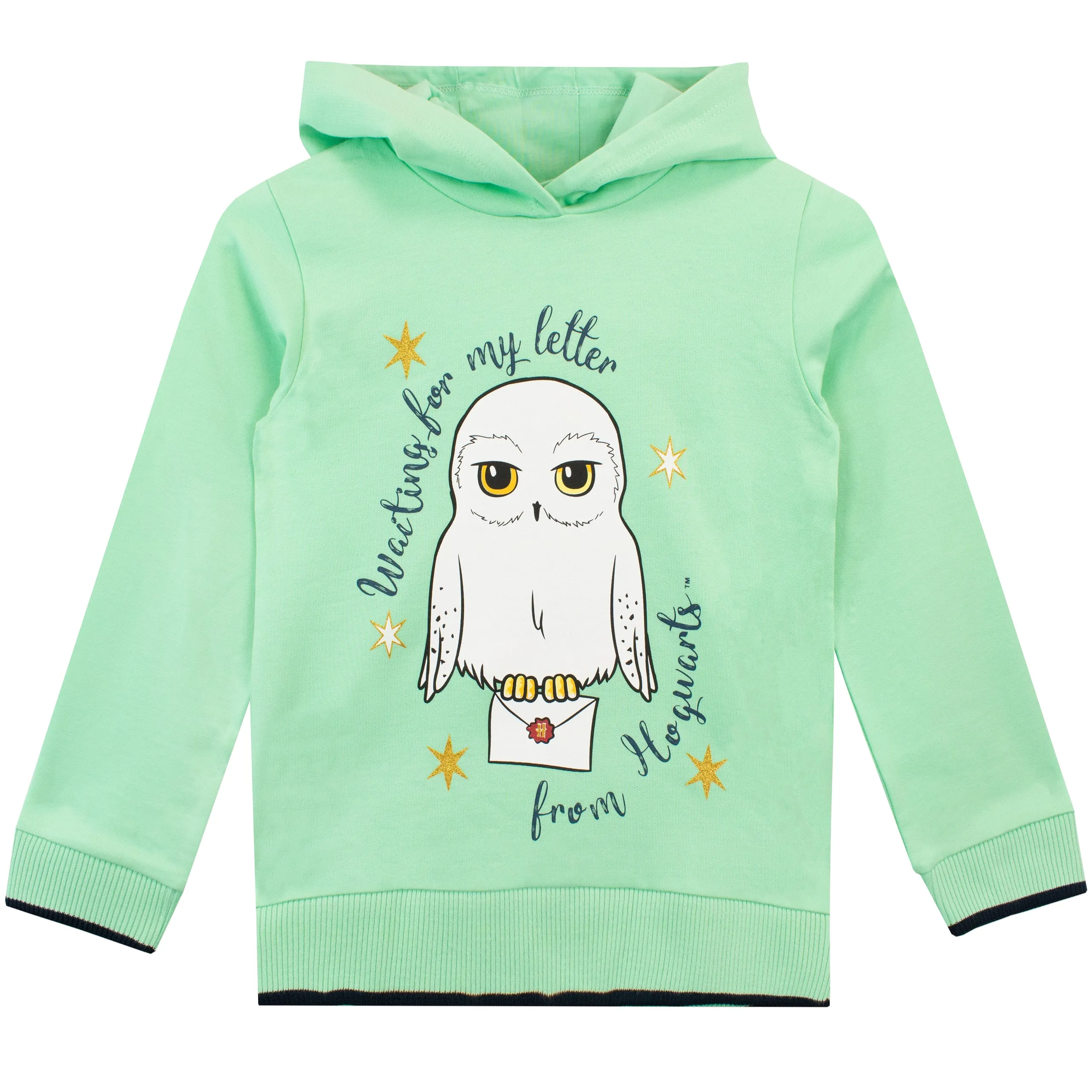 Harry Potter Hoodie - Hedwig