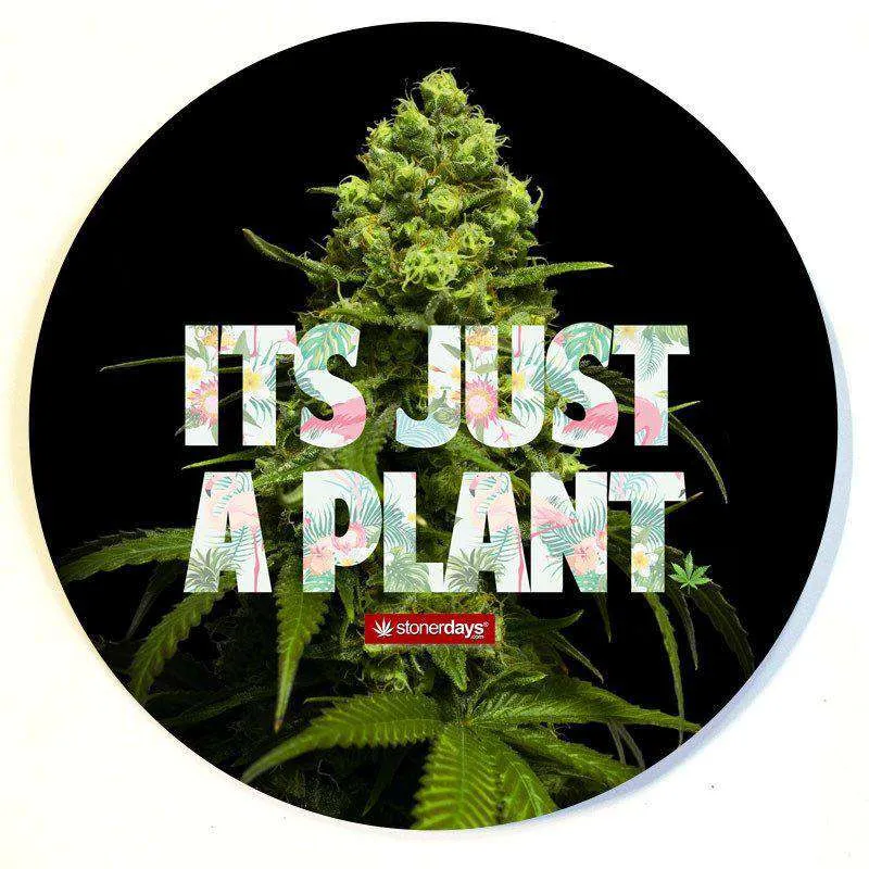 ITS JUST A PLANT DAB MAT