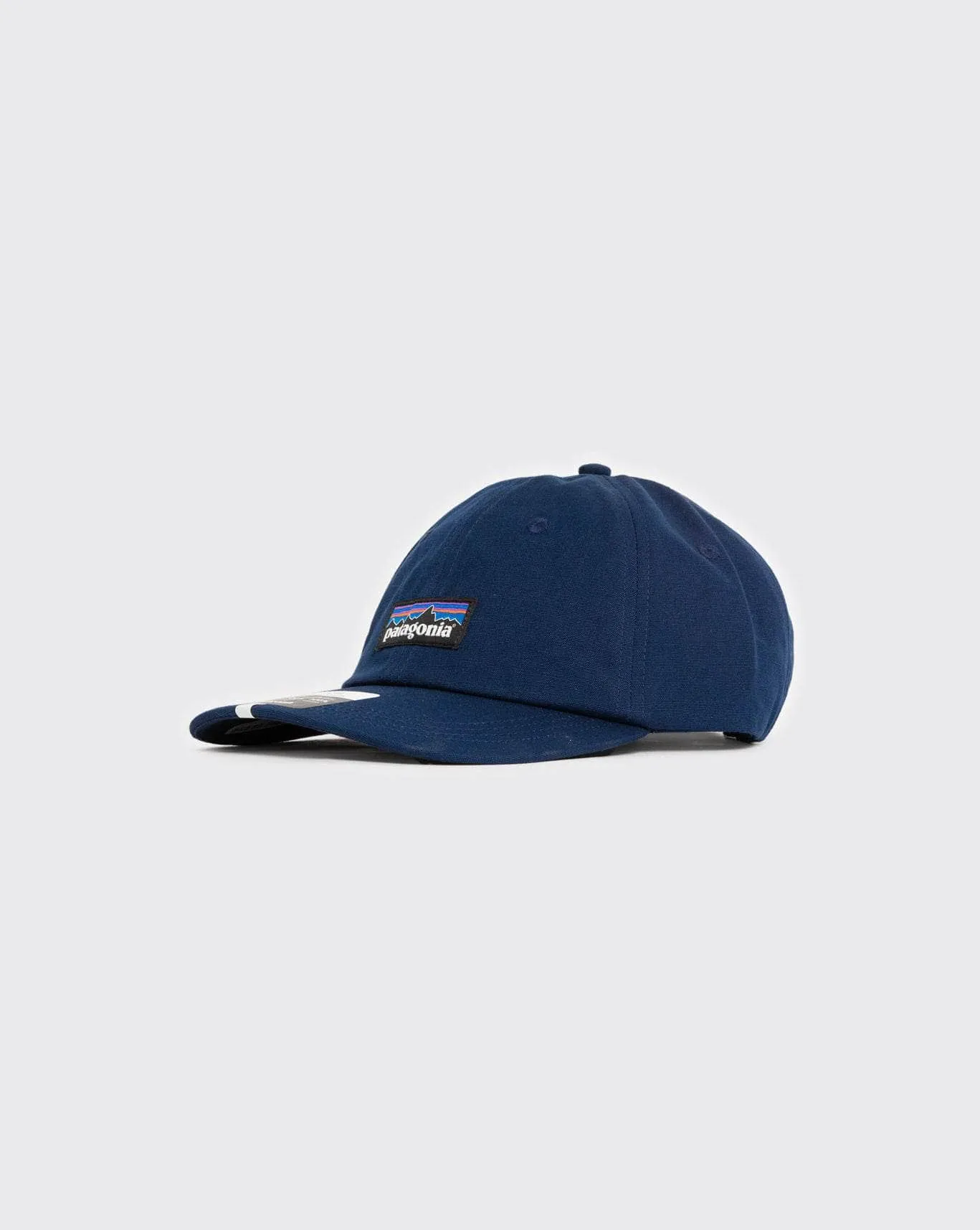 Patagonia P-6 Label Trad Cap