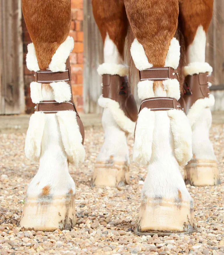 PEI Kevlar Techno-Wool Tendon Boots (Brown)