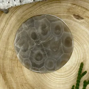 Petoskey Stone Cell Phone Socket