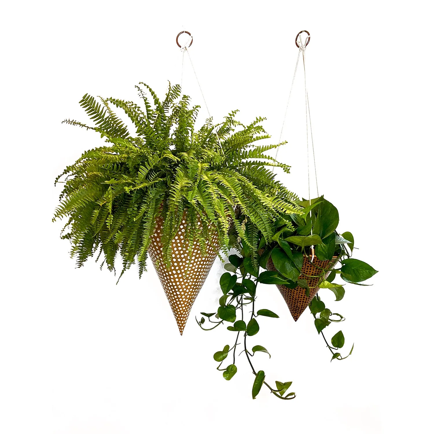 Polka Dot Hanging Planter