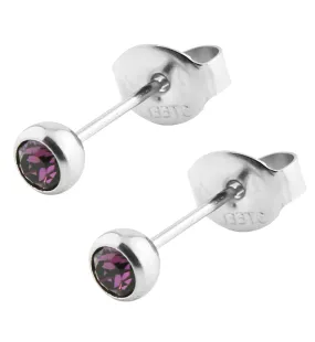 Purple Bezel CZ Stainless Steel Stud Earrings